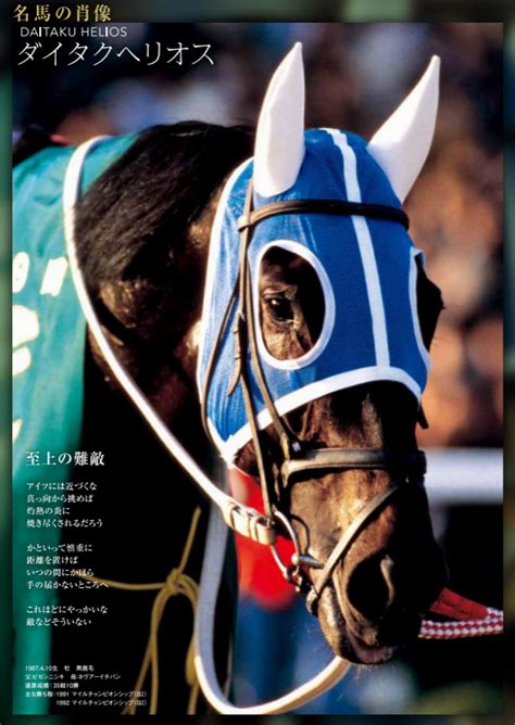 2021年6月27日、上半期を締めくくるグランプリ「宝塚記念」が阪神競馬場で開催される。 昨年、圧勝したクロノジェネシスが連覇を果たすのか。 となるとド真ん中すぎるので…… せめてレイパパレを1着固定にして夢を託すつもり。 とはいえ、なんだか今年の宝塚記念は大荒れす. 2020 マイルチャンピオンシップ ポスター＆レープロ - JRA競馬 ...