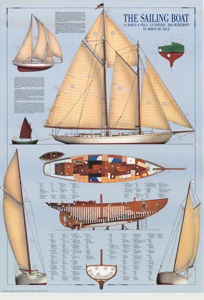 Because of their size and simplicity, many small sailboats can be sailed singlehanded or with a crew member or two. Sailboat Sailing Infographic Poster 27x40 | Sailing, Sailboat, Boat insurance