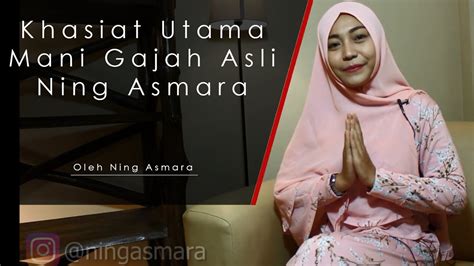 Khasiat mani gajah reviewed by pusaka dunia on jumat, oktober 30th, 2015. Khasiat Utama Mani Gajah Asli Ning Asmara - YouTube