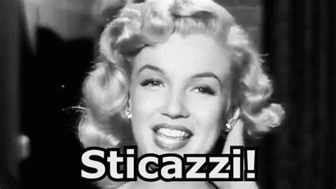 19+ michael wendler egal gif pics. Sticazzi Sti Cazzi Chissenefrega Che M'importa ...