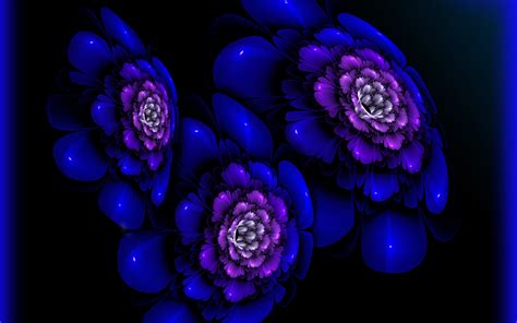 Wallpaper : dark, purple, violet, blue, flower, flora ... You will definitely choose from a huge number of pictures that option that will suit you exactly!
