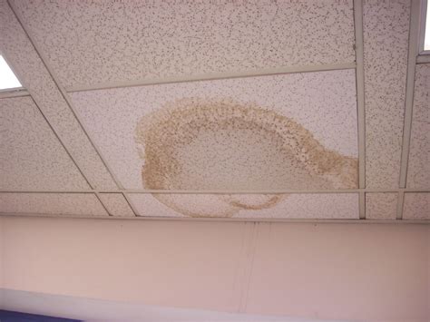 Start by finding the cause of the leak, and repairing the problem to prevent damage in the future. Guide to Mold and Moisture Problems in Hospitals