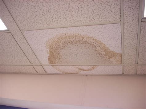 For the ceiling tiles i would get new as the old ones are probably filled with mold that you can't see. Guide to Mold and Moisture Problems in Hospitals