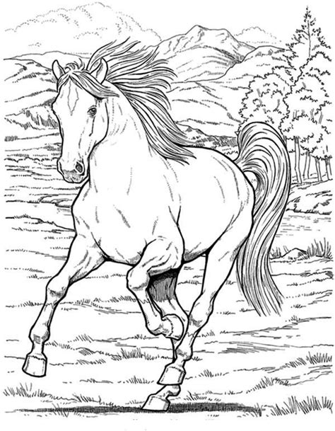 More images for realistic coloring pages of horses » Wild Horse in Horses Coloring Page - NetArt