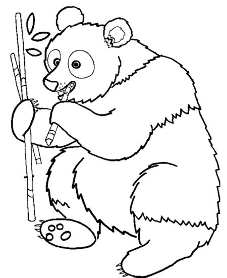 Apr 18, 2020 · children are very fond of the panda bear. Disney Coloring Pages: Cute Panda Bear Coloring Pages for Kids