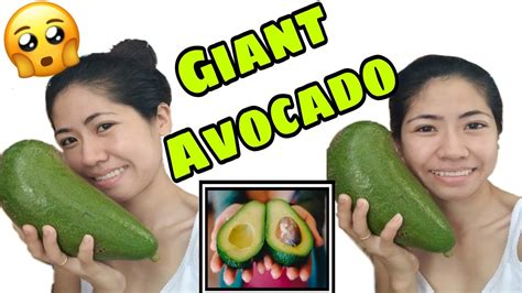 If you love a tasty bowl of guacamole or plate of avocado toast, you know how delicious avocados but the key to any recipe is starting with good avocados. GIANT AVOCADO | PINAKA MALAKING AVOCADO NA NAKITA KO ...