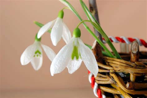 Perna personalizata martisor 4 imagini. Ganduri de 1 Martie | SuZy: colţişorul meu de lumeSuZy ...