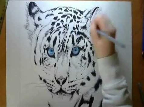 Please be respectful of copyright. Speed Drawing Siberian Tiger - YouTube