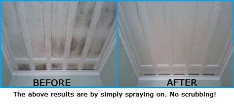 Check spelling or type a new query. Ceiling & Wall Mould Remover - Curtain Mould Cleaning Products