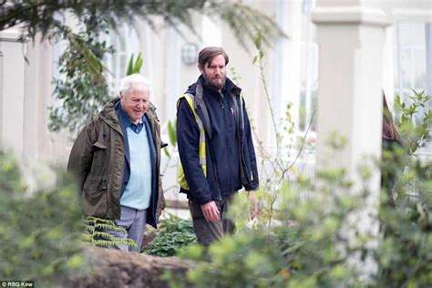 Historical records matching sir david attenborough. Sir David Attenborough reopens glasshouse at Kew Gardens ...