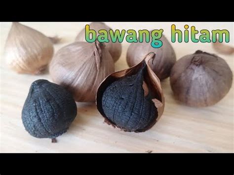 2 kali sehari selepas makan. cara membuat bawang hitam | black garlic - YouTube