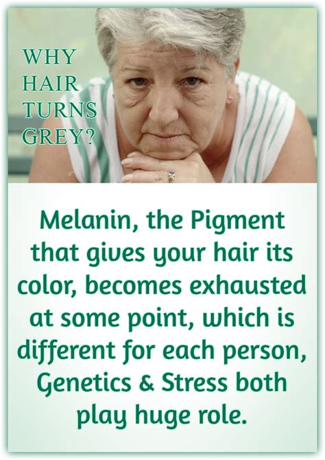 We know that the color of the hair is created by the presence of melanin which is produced by the melanocytes in the follicles of the scalp (and skin). Why Hair Turns Grey? Melanin, the Pigment that gives your ...