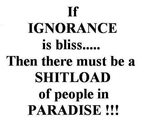 Stupidity is not a crime, so you're. Ignorance... | Badass quotes, Funny quotes sarcasm, Family ...