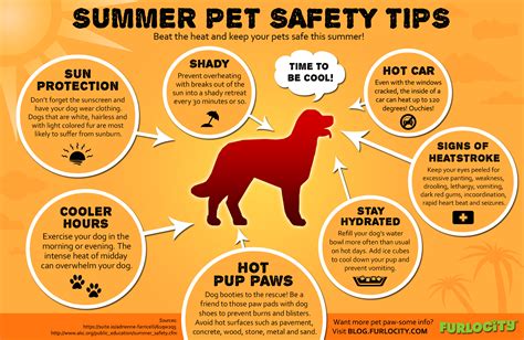 Even in cool temperatures, cars can heat up to dangerous temperatures very quickly. 30 Infographics that can Save Your Pet /// Pet Safety Tips ...