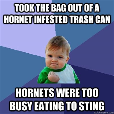 People interested in owner meme also searched for. Took the bag out of a hornet infested trash can hornets ...