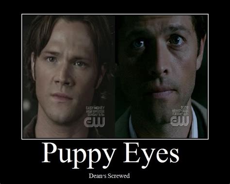 The family by blood and family. Supernatural quotes image by Neha Sudhir on The Family Business | Puppy eyes, Supernatural