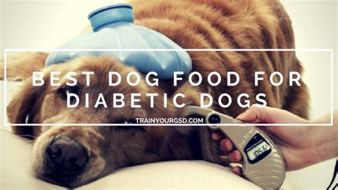 Diabetic eating plans are among the healthiest plans out there, and are suitable for most anyone. Best Dog Food for Diabetic Dogs in 2020 (Top 3 Picks ...