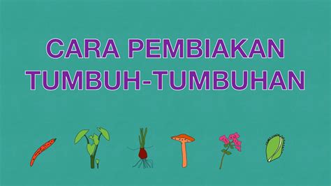 Murid perlu mempertimbangkan kegunaan bagi setiap bahagian pada pokok kelapa. Sains Tahun 3: Cara Pembiakan Tumbuh-tumbuhan #cikgooTube ...