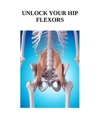 Depending on the situation, with the pelvis in a fixed position the muscles move around the thigh. Diagram Of Hip Muscles And Ligaments | How To Unlock Your ...