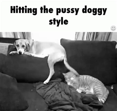 Every dog owner knows the drill. Dogging GIFs | Tenor
