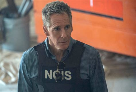 In true new orleans fashion, of course, they had to sprinkle in a mardi gras episode. 'NCIS: New Orleans' Cancelled — no Season 8 for CBS drama ...