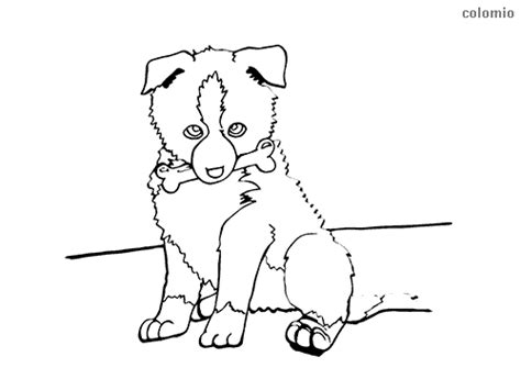 Animal coloring pages for kids. Sheltie puppy (Shetland Sheepdog) coloring page | Puppy ...
