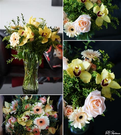 Maybe you would like to learn more about one of these? Luxury flowers from Prestige Flowers - DB Reviews - UK ...