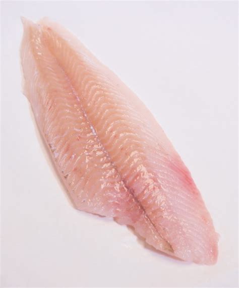 Our flounder is filleted daily ensuring freshness and excellent taste. Fresh Flounder Fillet • Harbor Fish Market