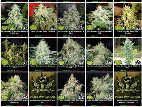 The 11 best marijuana online seed banks in the market today. Attitude Seed Bank Karma Genetics Sale