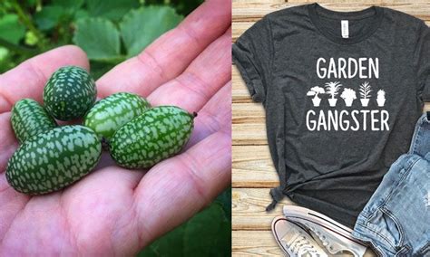 These include only funny and practical gift ideas she'll actually use. 27 Unusual Gifts For Gardeners Who Have Everything ...