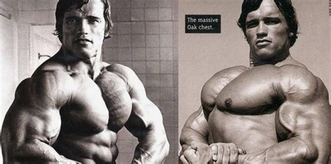 Best fitness app for weightlifting | fitbod. Mammoth Chest: How Schwarzenegger Built The Best Chest In ...