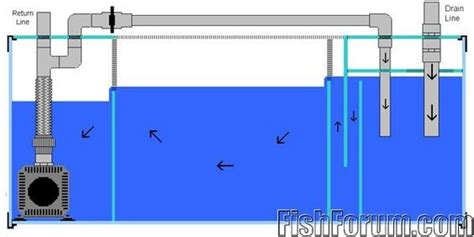Aquarium sump filter | why sump filters are so efficient. Understanding Sumps | Aquarium sump, Saltwater aquarium beginner, Aquarium pump