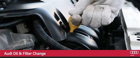 Why is Audi oil change so expensive?