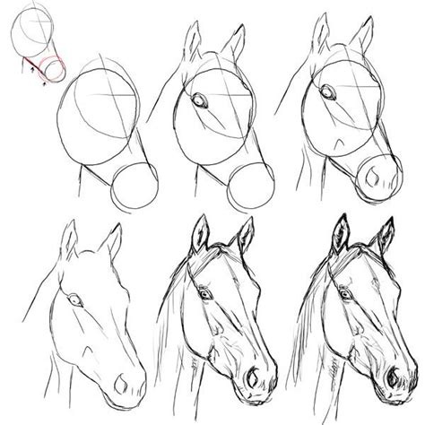 Hoe teken je een paard? schetsen - het eerste idee met vlugge lijnen tekenen of in grove vormen boetseren of construeren ...
