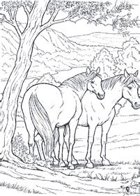 Een paar maanden geleden liet esra weten dat de stal te koop stond. 子供向けの馬の塗り絵