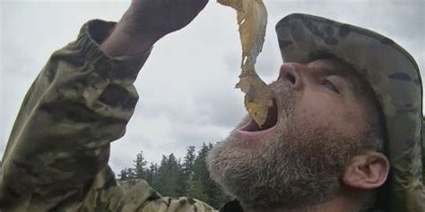 I've instructed a number of field classes on foraging for wild foods and have written about it quite a bit, too. Everything You Need to Know About Foraging for Food in the ...