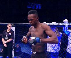 His dominant victory came on the back of polish monster jan blachowicz brutalising dominick reyes to become the new ufc light heavyweight champion. israel adesanya on Tumblr