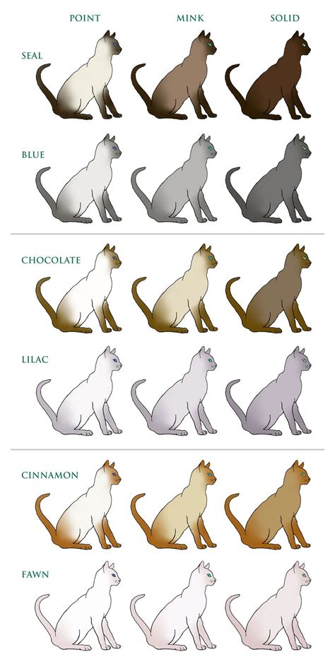 Check out this guide to bengal cat colors and patterns. Coat Colour and Pattern :: Tonkinese Cats & Kittens Queensland
