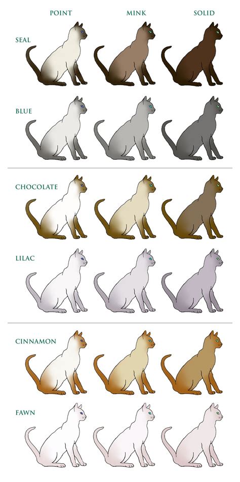 Color genetics are a wide and interesting field. Coat Colour and Pattern :: Tonkinese Cats & Kittens Queensland