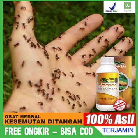 Maybe you would like to learn more about one of these? Obat Kesemutan Di Tangan - Di Kaki - Di Punggung - Kebas ...