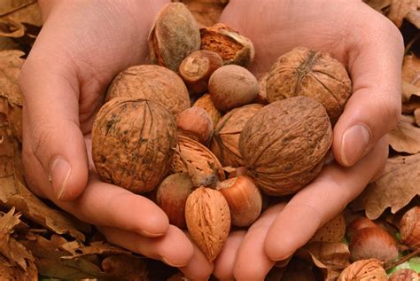 Maybe you would like to learn more about one of these? La frutta gonfia la pancia? Ecco quale preferire e quando ...
