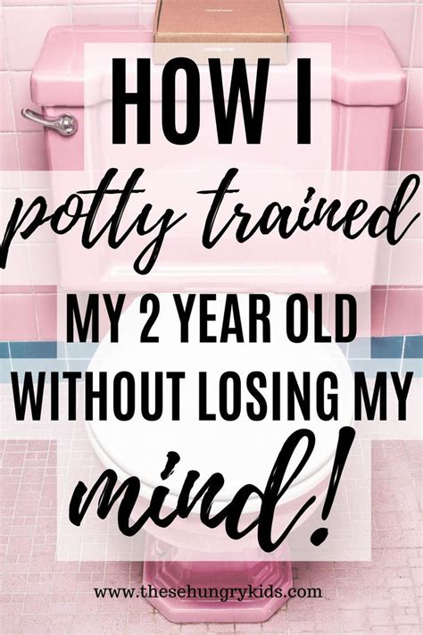 Easy Potty Training Tips: How My 2 Year Old Potty Trained ...
