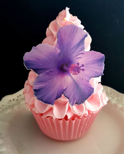 We did not find results for: Edible Wafer Flat Purple,Pink or Teal Hibiscus Flower,Cake ...