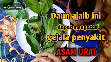 Ini dia penjelasan lengkap tentang asam urat. Tak terduga !! Ternyata daun salam bisa menyembuhkan sakit ...