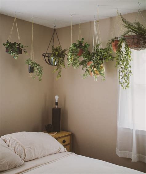 Air plants are a unique pick for a hanging plant because they do not require potting mix to grow, satch says. Secret Garden | Bedroom plants, Hanging planters indoor ...