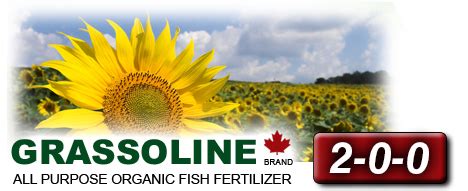 Fish compost is a powerful soil amendment including use as a turf/lawn top dressing, mulch, and erosion control media, as it helps retain soil moisture. Grassoline 2-0-0 Organic Liquid Fish Fertilizer Archives ...