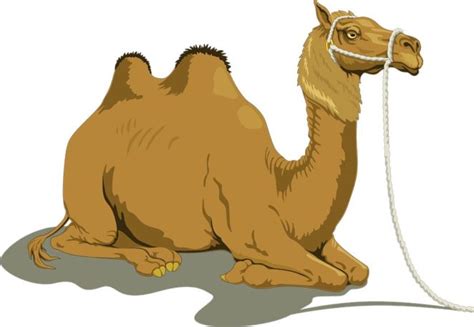 Here is a short visual depiction of one of the short moral stories for children the camel and the jackal. Camel and Jackal ( folk story) - Virily