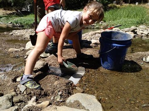 My husband and boys had a great experience here. Gold Prospecting Adventures (Jamestown) - 2021 All You Need to Know BEFORE You Go (with Photos ...
