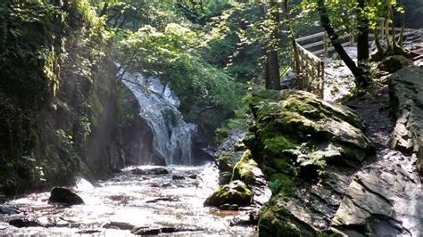 Gîte du ninglinspo biedt een vrijstaand vakantiehuis voor volwassenen vanaf 30 jaar oud met uitzicht op de rivier, een terras en een tuin met barbecuefaciliteiten. NWWL / Walking Limburg wandeling in de Ardennen bij de ...