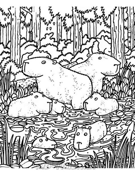 We have collected 36+ capybara coloring page images of various designs for you to color. capybara-coloring-pages-004 - Kids Time Fun Places to ...